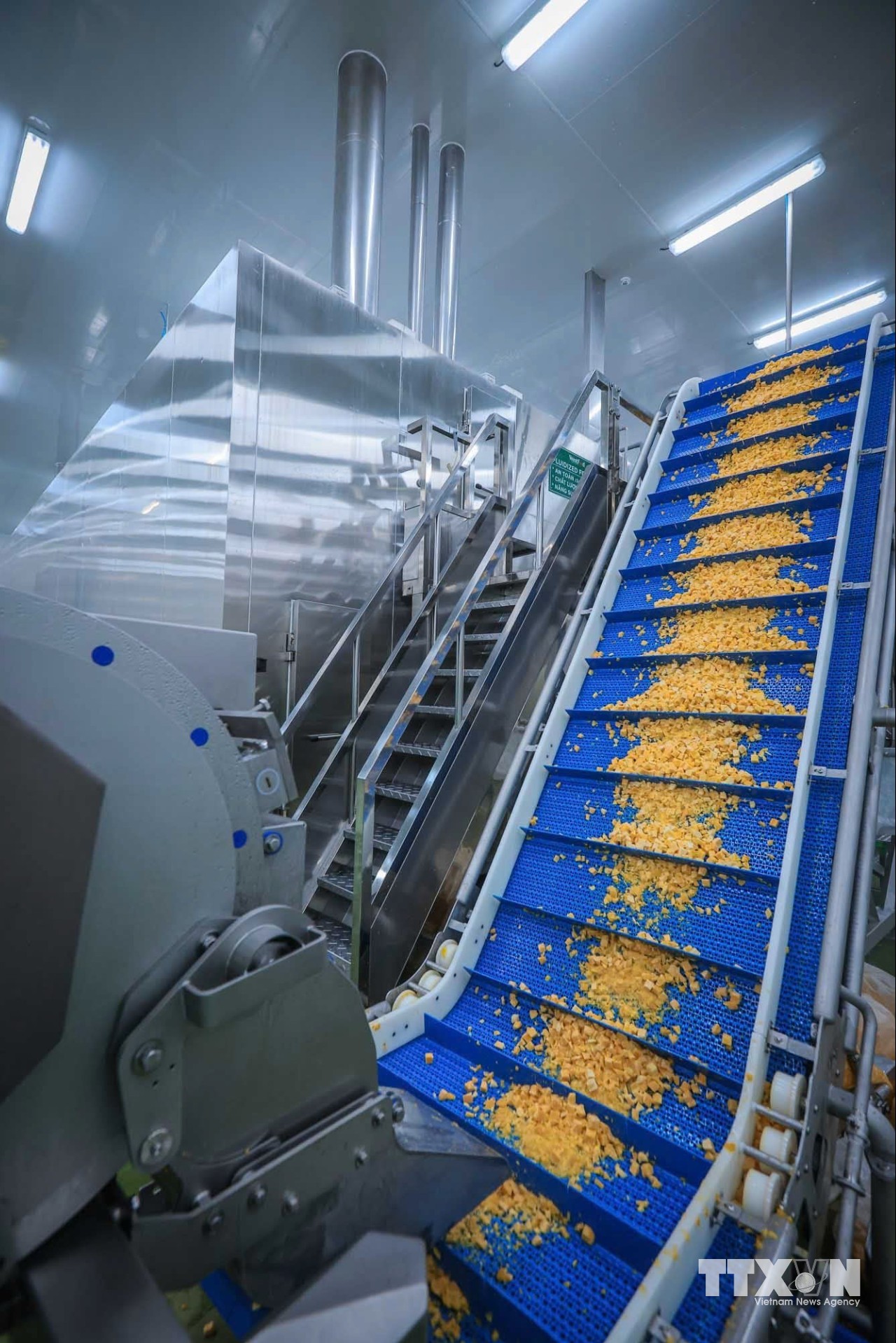 Hệ thống dây chuyền hiện đại, công nghệ tự động hóa tiên tiến giúp nhà máy WestFood (Khu công nghiệp Nam sông Hậu – giai đoạn 1) đạt công suất 30.000 tấn thành phẩm mỗi năm. (Ảnh: Hoàng Hiếu/TTXVN)